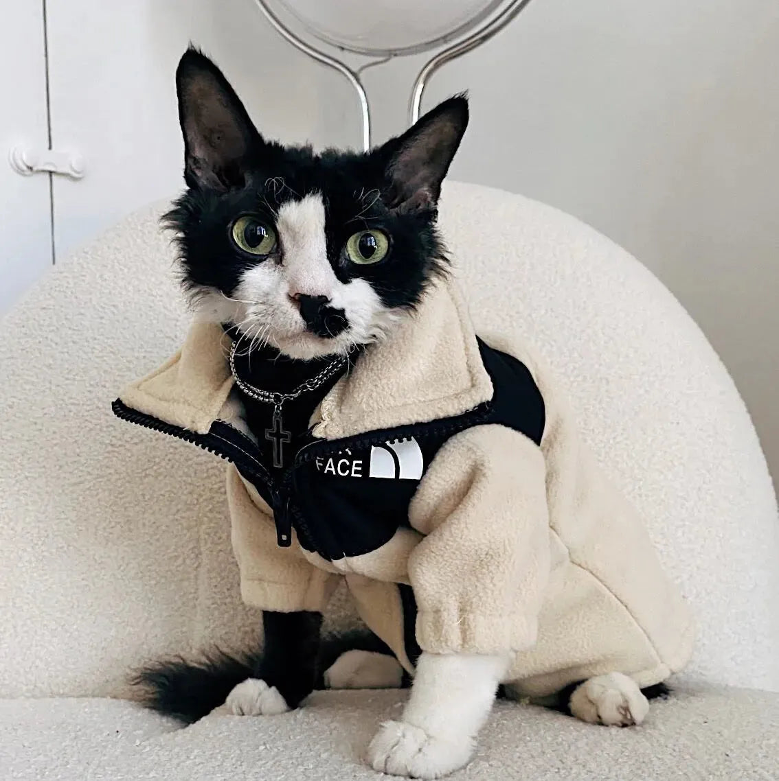 Hairless Cat Clothes Warm Pet Cat Clothes - Bellarte Enchanté Hairless Cat Clothes Warm Pet Cat Clothes